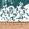 Baking Paint Glass Seed Beads SEED-S042-05B-67-4