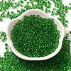 Transparent Colours Glass Seed Beads X1-SEED-P006-02A-07-2