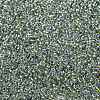 MIYUKI Round Rocailles Beads X-SEED-G009-RR3201-4