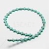 Synthetic Howlite Bead Strands G-P228-25-2