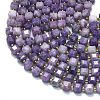 Natural Lepidolite/Purple Mica Stone Beads Strands G-K389-A32-01-3