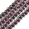 Natural Garnet Beads Strands G-C179-A25-01-2