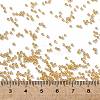 TOHO Round Seed Beads SEED-JPTR15-0103B-4