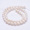 Natural Cultured Freshwater Pearl Beads Strands PEAR-P002-24-2