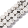 Natural Howlite Beads Strands G-C159-B01-01-1