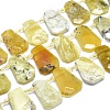 Natural Yellow Opal Beads Strands G-O179-I02-1