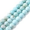 Natural Magnesite Beads Strands G-P598-E-6mm-01-2