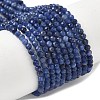 Natural Sodalite Beads Strands G-D306-A01-2mm-B-2