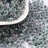Glass Seed Beads X1-SEED-A032-01I-1