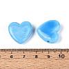 Handmade Lampwork Beads LAMP-T023-27H-3
