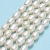 Natural Cultured Freshwater Pearl Beads Strands PEAR-J006-20B-01-2