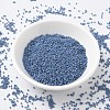 MIYUKI Delica Beads SEED-JP0008-DB2135-2