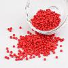 8/0 Opaque Colours Round Glass Seed Beads X-SEED-A010-3mm-45-1