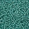 TOHO Round Seed Beads X-SEED-TR11-0954F-2