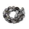 Natural Labradorite Beads Strands G-Q608-11E-3