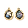 Natural Paua Shell Pendants SA-CBA11D7-15B-G-1
