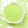 Ceylon Glass Seed Beads SEED-K009-02B-39-2