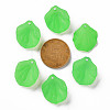 Transparent Frosted Acrylic Pendants MACR-S371-01A-734-3
