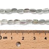 Electroplate Glass Beads Strands EGLA-P064-01A-FR04-4