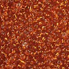 8/0 Glass Seed Beads X1-SEED-A005-3mm-29-2