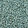 MIYUKI Delica Beads SEED-J020-DB2313-3