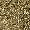 TOHO Round Seed Beads X-SEED-TR11-1073-2