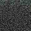 TOHO 11/0 Round Beads X-SEED-TR11-0029B-2