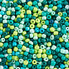 Opaque Glass Round Seed Beads GLAA-TAC0025-07B-02-3