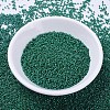 MIYUKI Delica Beads SEED-J020-DB0656-2