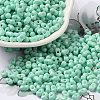 Baking Paint Glass Seed Beads SEED-K009-01A-05-1