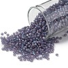 TOHO 11/0 Round Beads SEED-XTR11-0166DF-1