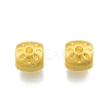 Alloy European Beads FIND-A017-10MG-2
