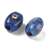 Dyed Natural Lapis Lazuli European Beads GG-CBA105B-02I-G-2