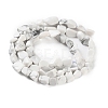 Natural Howlite Beads Strands G-P497-01C-64-3