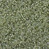 MIYUKI Round Rocailles Beads SEED-JP0008-RR1135-3