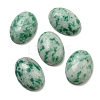 Natural Green Spot Jasper Cabochons G-C115-01A-12-1