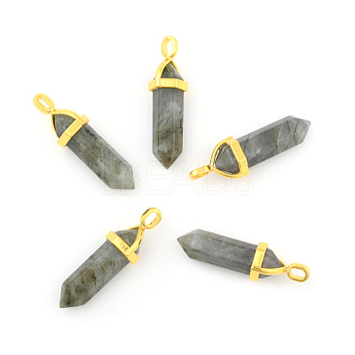 Natural Labradorite Pointed Pendants G-G902-A11-1
