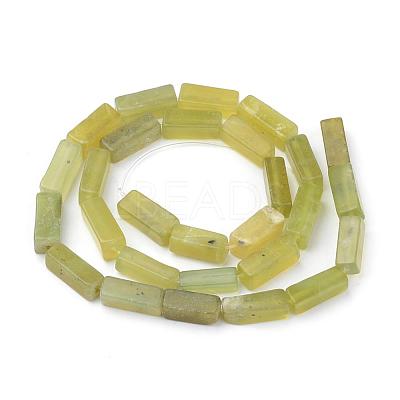 Natural Serpentine Beads Strands G-Q949-003-1