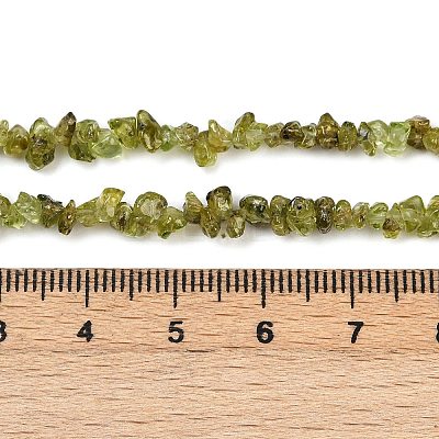 Natural Peridot Beads Strands G-P332-48-02-1