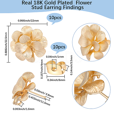 5 Pairs Brass Stud Earring Findings KK-BBC0020-87-1