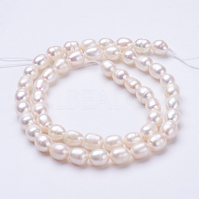 Natural Cultured Freshwater Pearl Beads Strands PEAR-P002-24-1