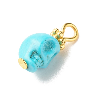 Dyed Synthetic Turquoise Charms PALLOY-JF01452-02-1