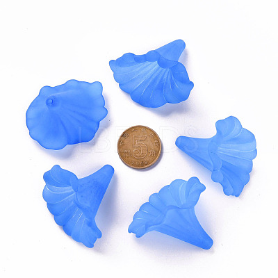 Transparent Acrylic Beads BSF796-C05-1