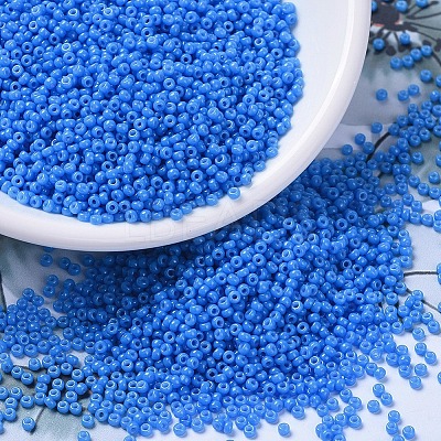 MIYUKI Round Rocailles Beads X-SEED-G007-RR4484-1