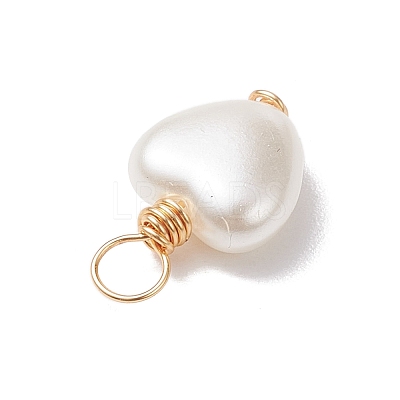 Acrylic Pendant PALLOY-JF02731-01-1