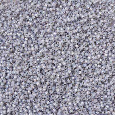 MIYUKI Round Rocailles Beads X-SEED-G008-RR0576-1