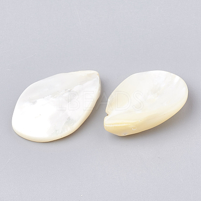 Natural White Shell Beads SHEL-T005-03-1