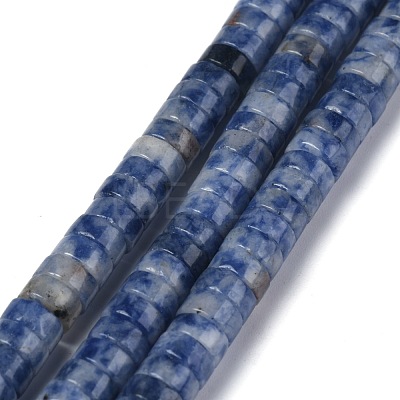 Natural Blue Spot Jasper Beads Strands G-Z006-C07-1