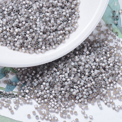 MIYUKI Delica Beads X-SEED-J020-DB0630-1
