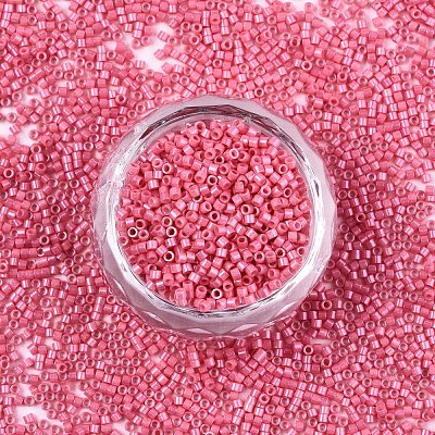 FGB 11/0 Grade A Baking Paint Glass Seed Beads X-SEED-S030-1034-1